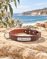 Das Sutton-Halsband — Personalisiertes Hundehalsband