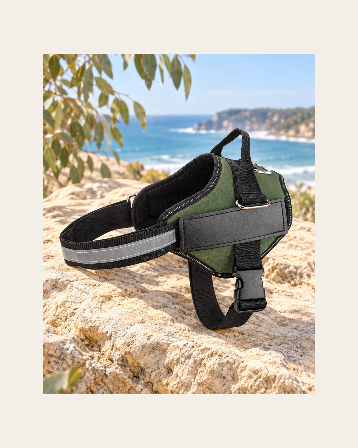 Nameplate Harness — Personalised Reflective Dog Harness — nameplate harness variant field green