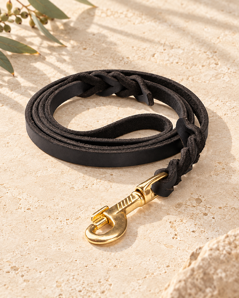 The Heritage Lead — Braided Leather Dog Lead — full frame product image