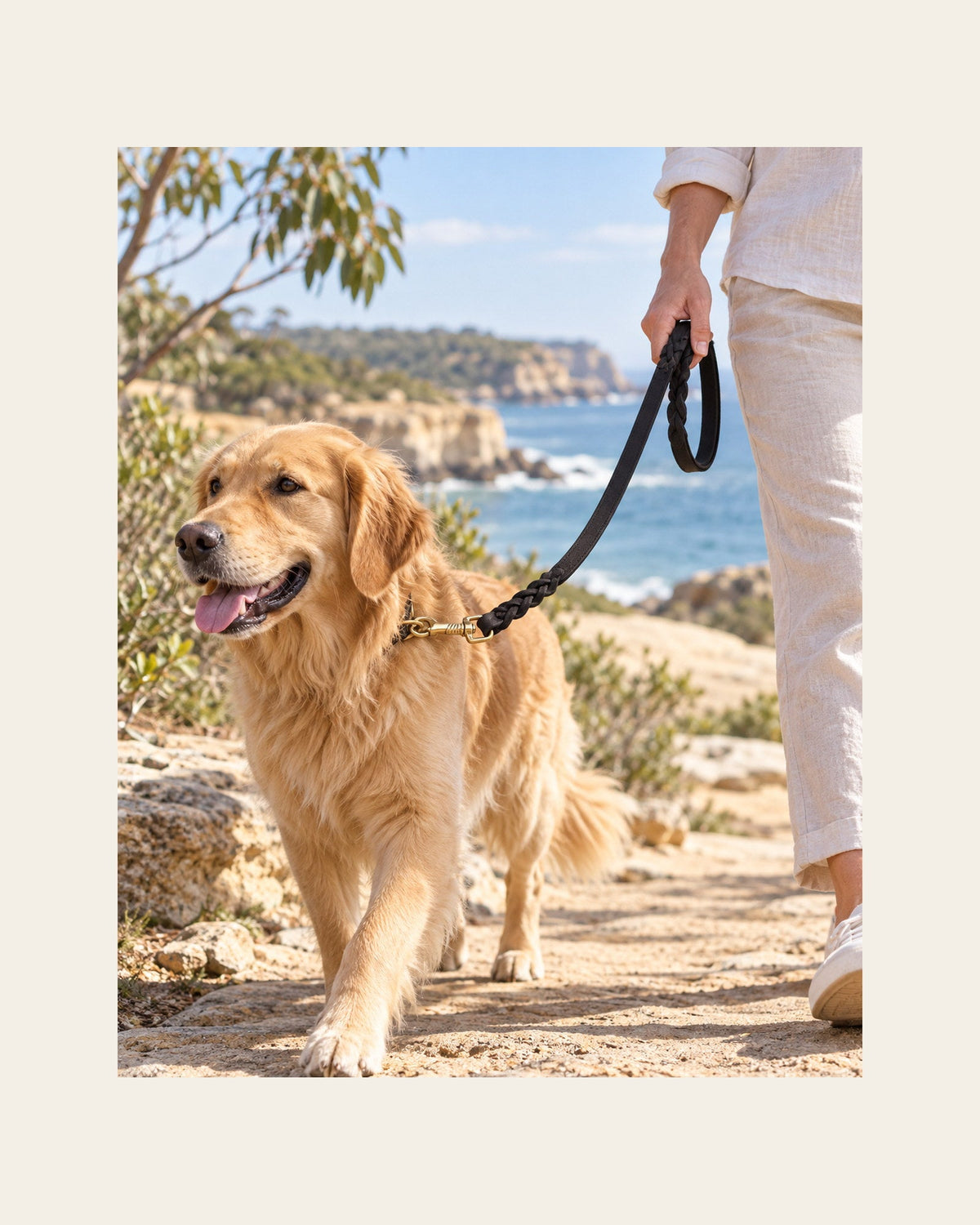 Heritage Lead — Braided Leather Dog Lead — heritage lead lifestyle