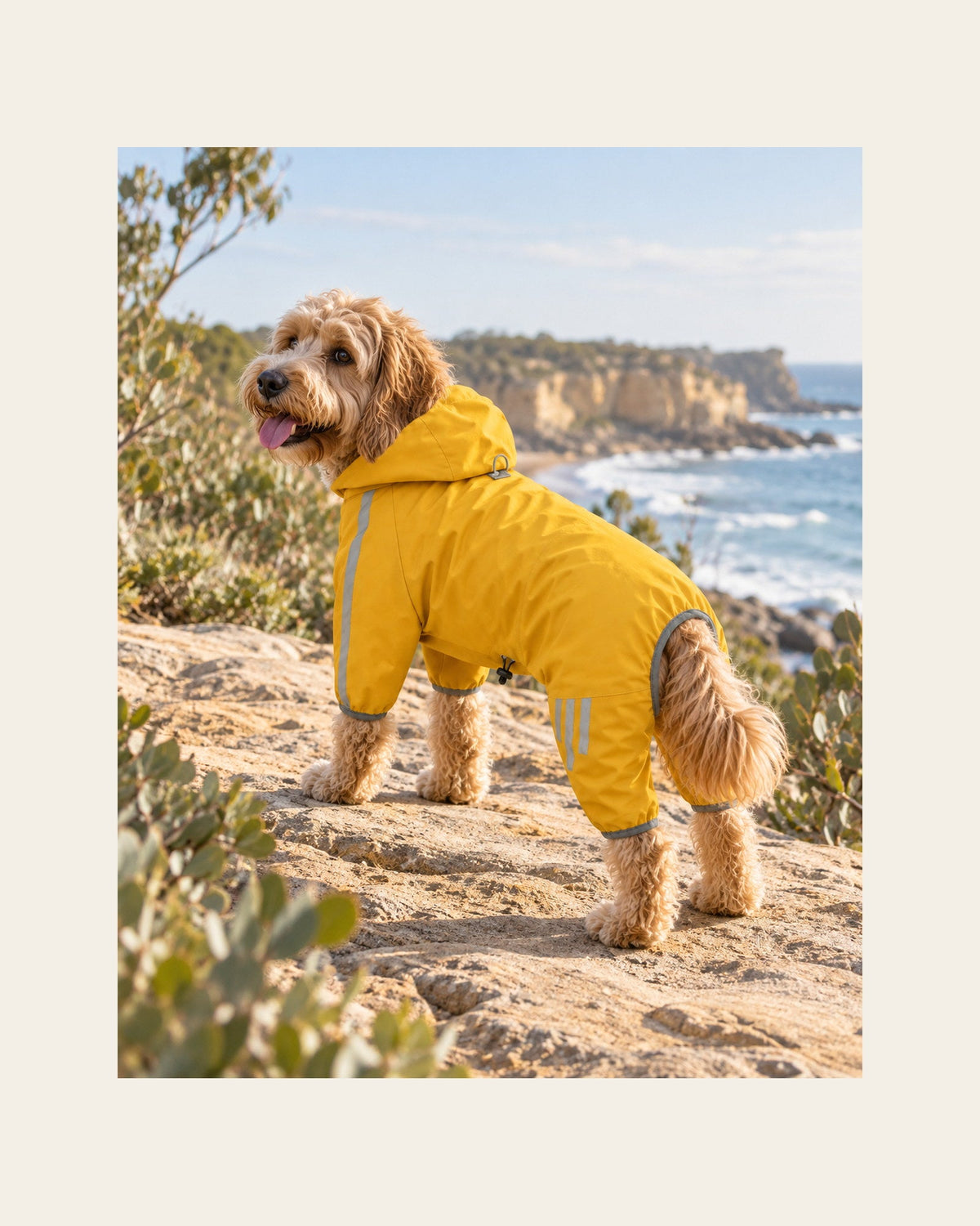 Weather Shell — Reflective Dog Raincoat — weather shell lifestyle