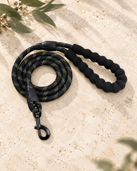 The Sutton Lead — Reflective Rope Dog Leash — full frame product image