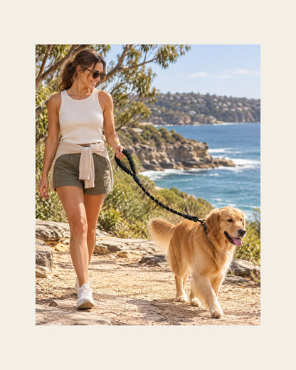 Sutton Lead — Reflective Rope Dog Leash — sutton lead lifestyle