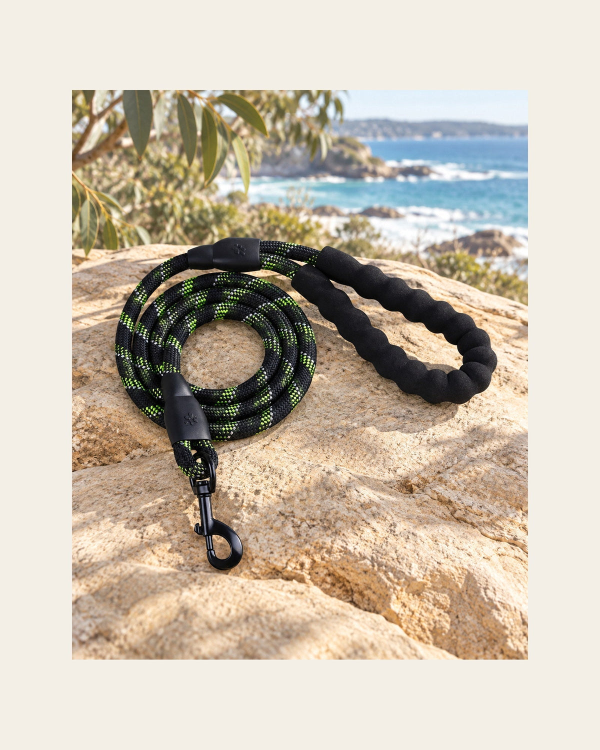 Sutton Lead — Reflective Rope Dog Leash — sutton lead variant black green