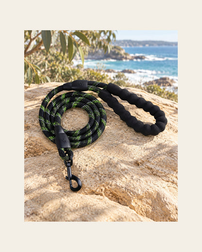 Sutton Lead — Reflective Rope Dog Leash — sutton lead variant black green