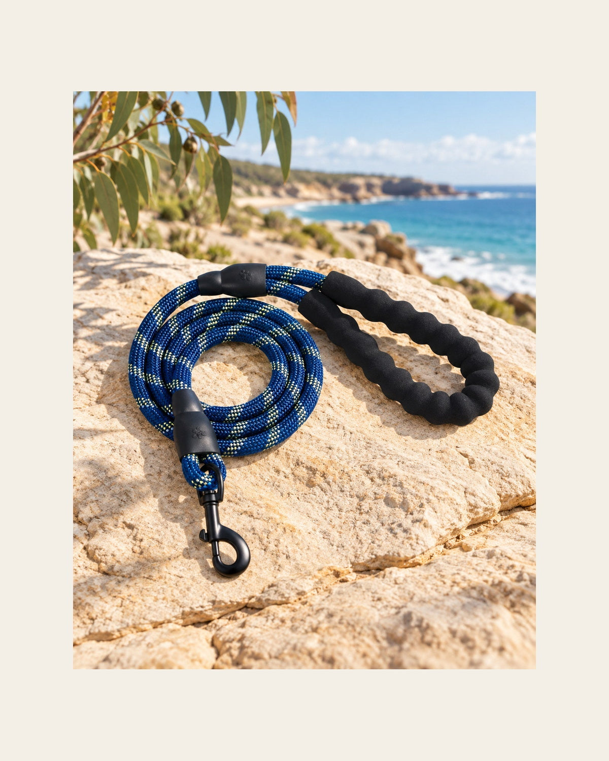 Sutton Lead — Reflective Rope Dog Leash — sutton lead variant blue