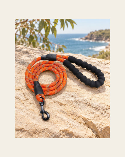 Sutton Lead — Reflective Rope Dog Leash — sutton lead variant orange