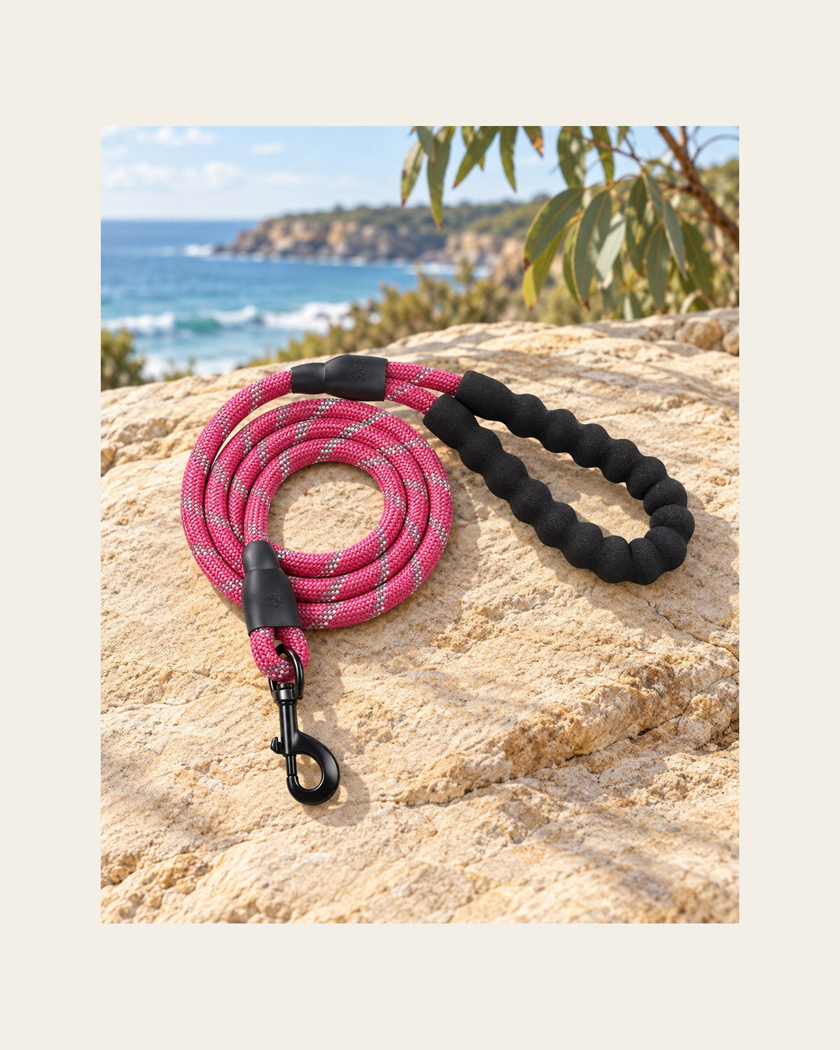 Sutton Lead — Reflective Rope Dog Leash — sutton lead variant pink