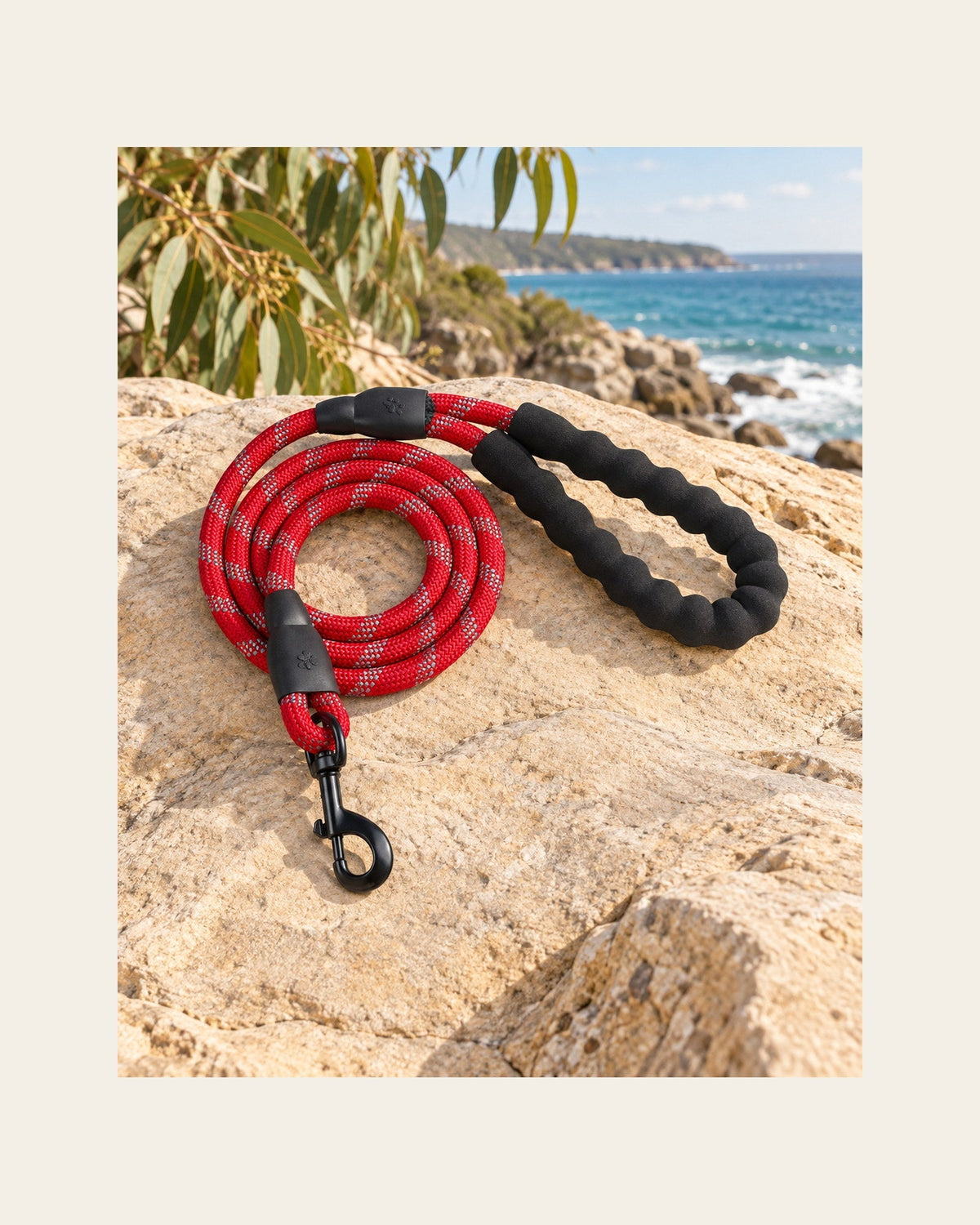 Sutton Lead — Reflective Rope Dog Leash — sutton lead variant red