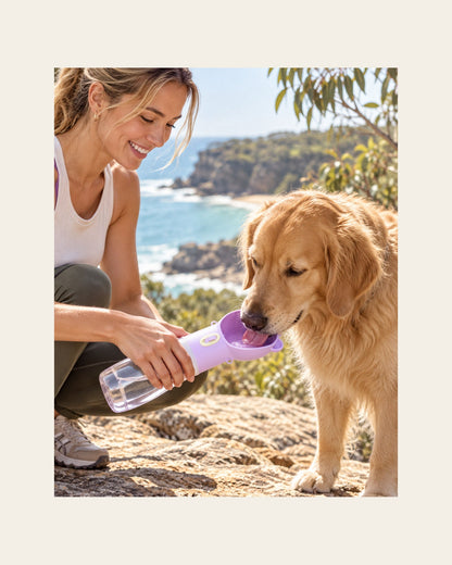 Rover Bottle — Dog Travel Bottle — rover bottle lifestyle