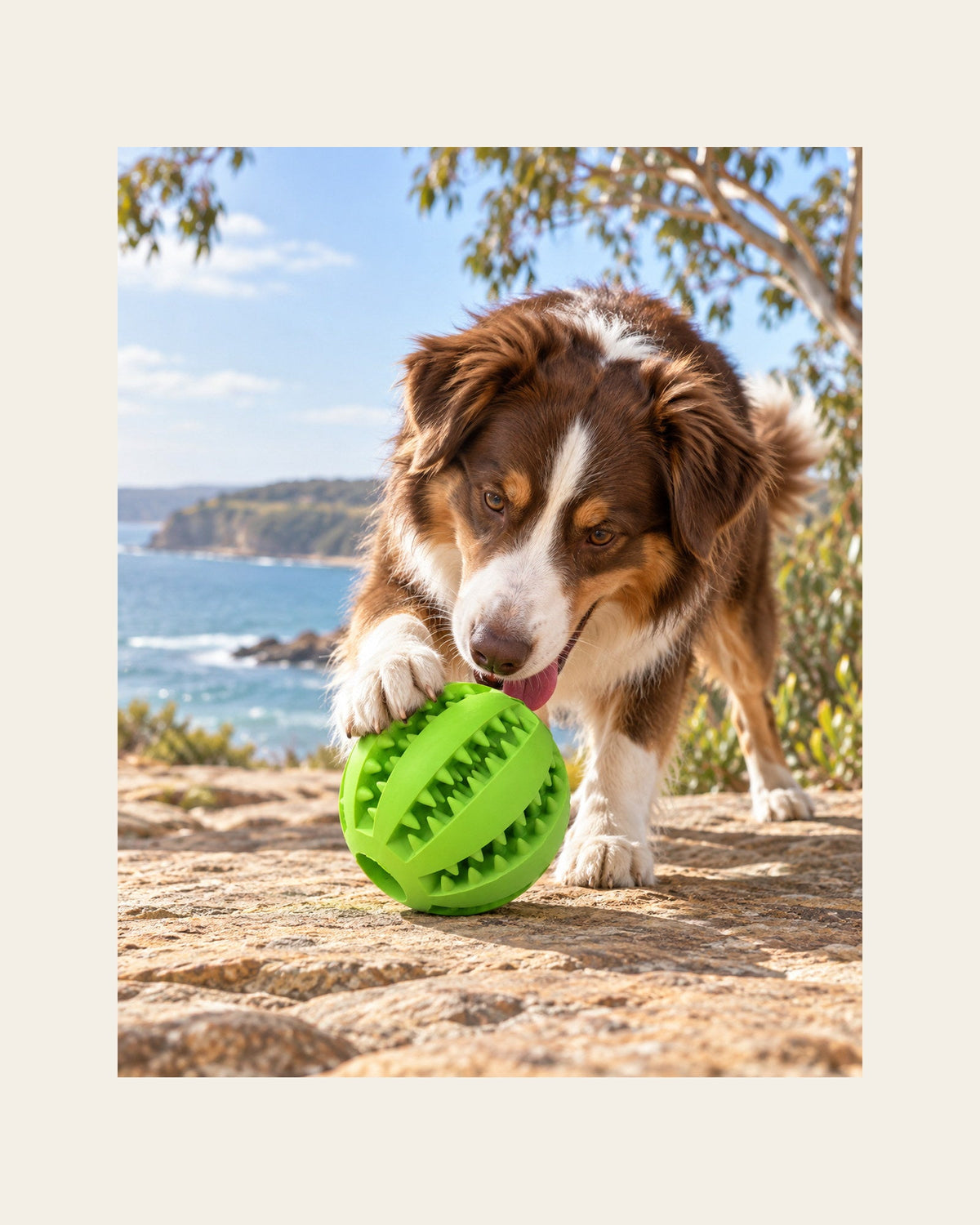Mint Treat Ball — Textured Enrichment Toy — mint treat ball lifestyle