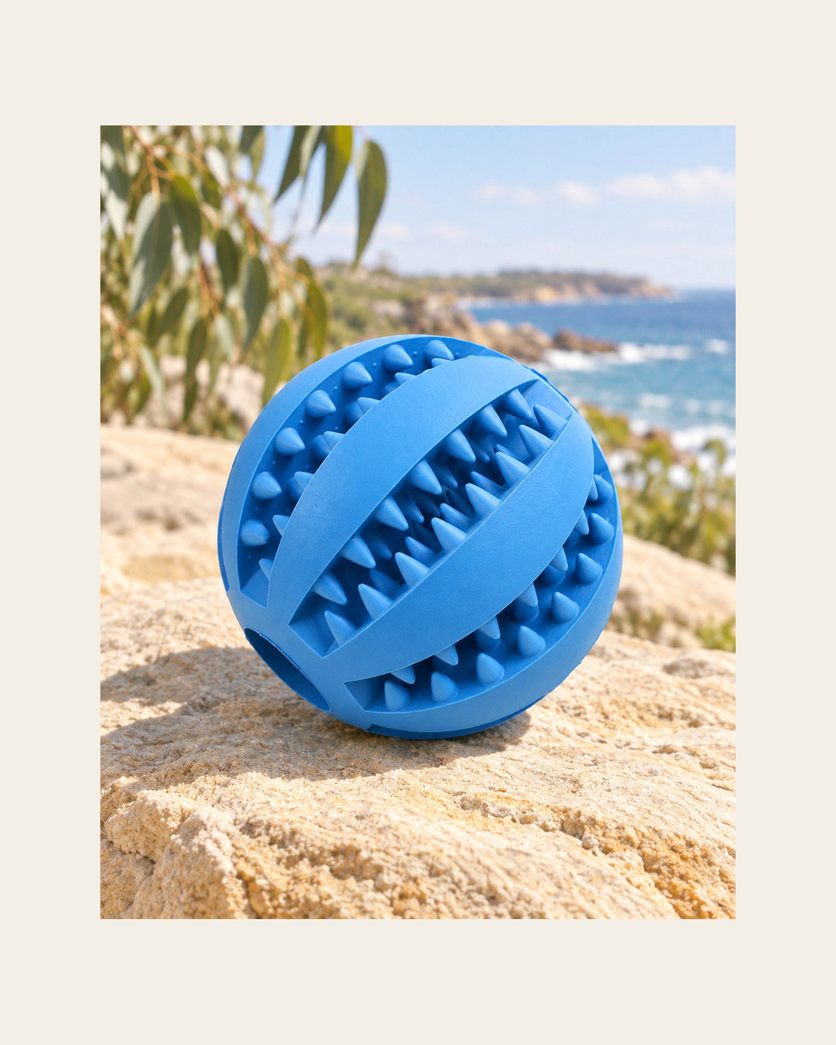 Mint Treat Ball — Textured Enrichment Toy — mint treat ball variant blue