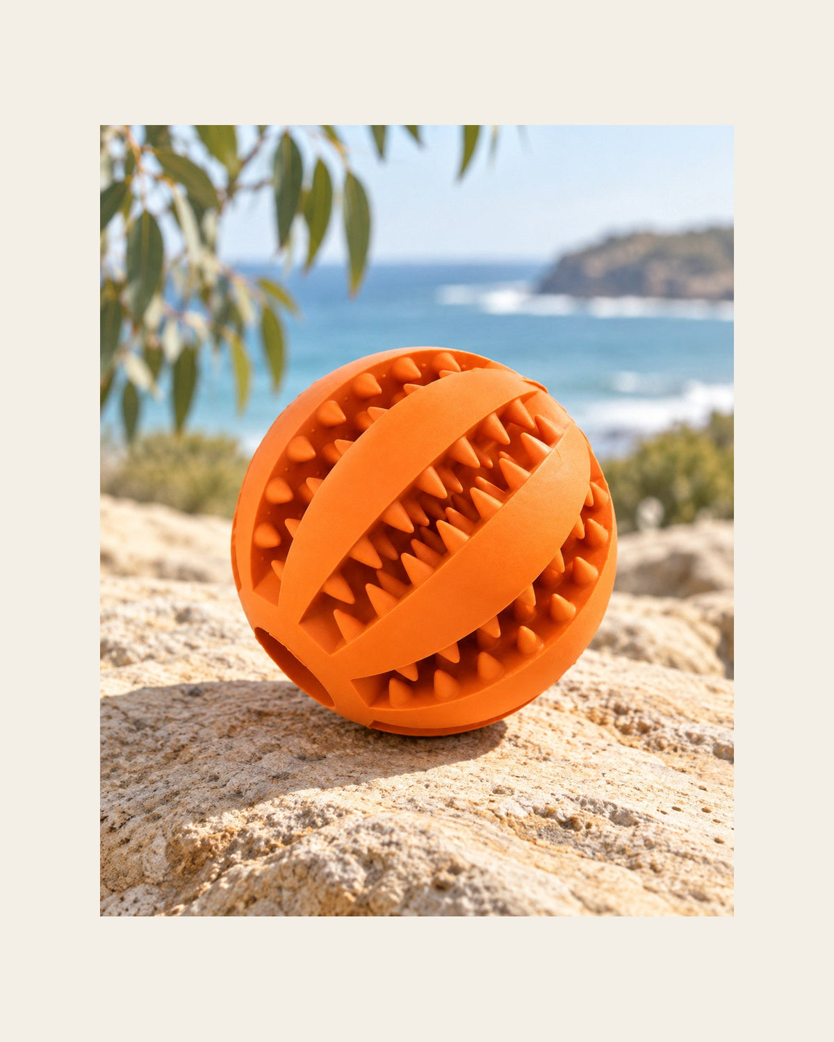 Mint Treat Ball — Textured Enrichment Toy — mint treat ball variant orange