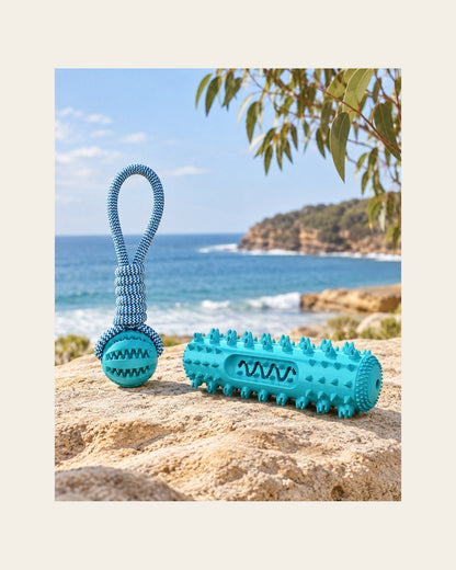 Forage Rope Ball — Treat-Dispensing Toy — forage rope ball cylinder set