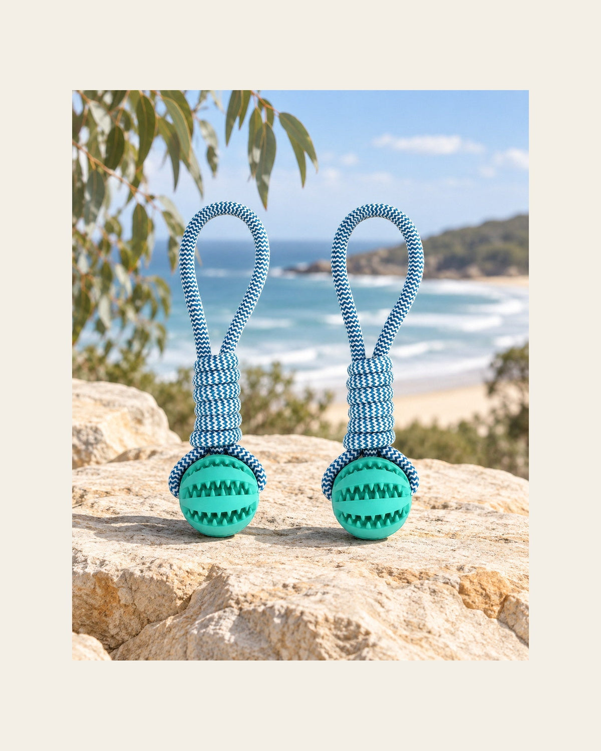 Forage Rope Ball — Treat-Dispensing Toy — forage rope ball two pack