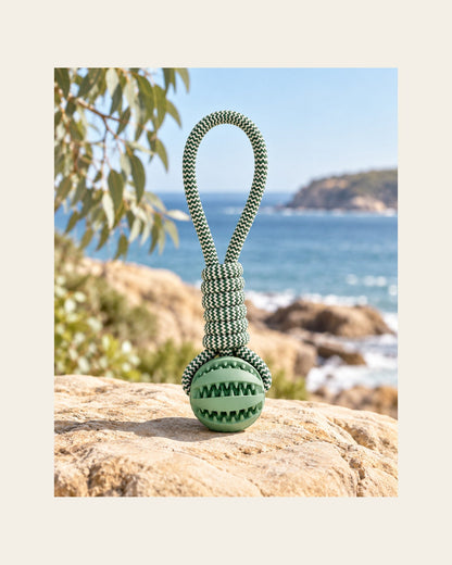 Forage Rope Ball — Treat-Dispensing Toy — forage rope ball variant field green