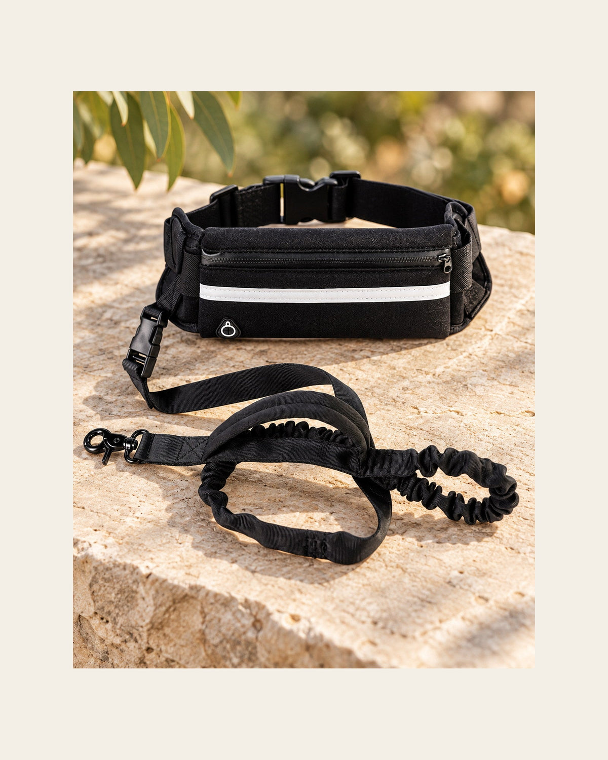 Field Runner — Hands-Free Dog Leash — field runner detail