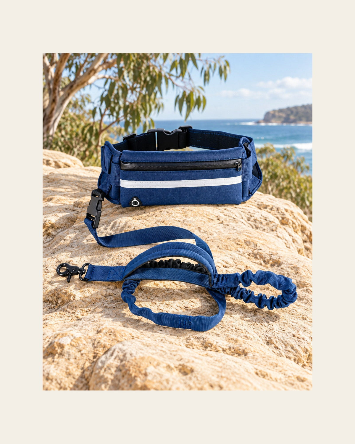 Field Runner — Hands-Free Dog Leash — field runner variant blue