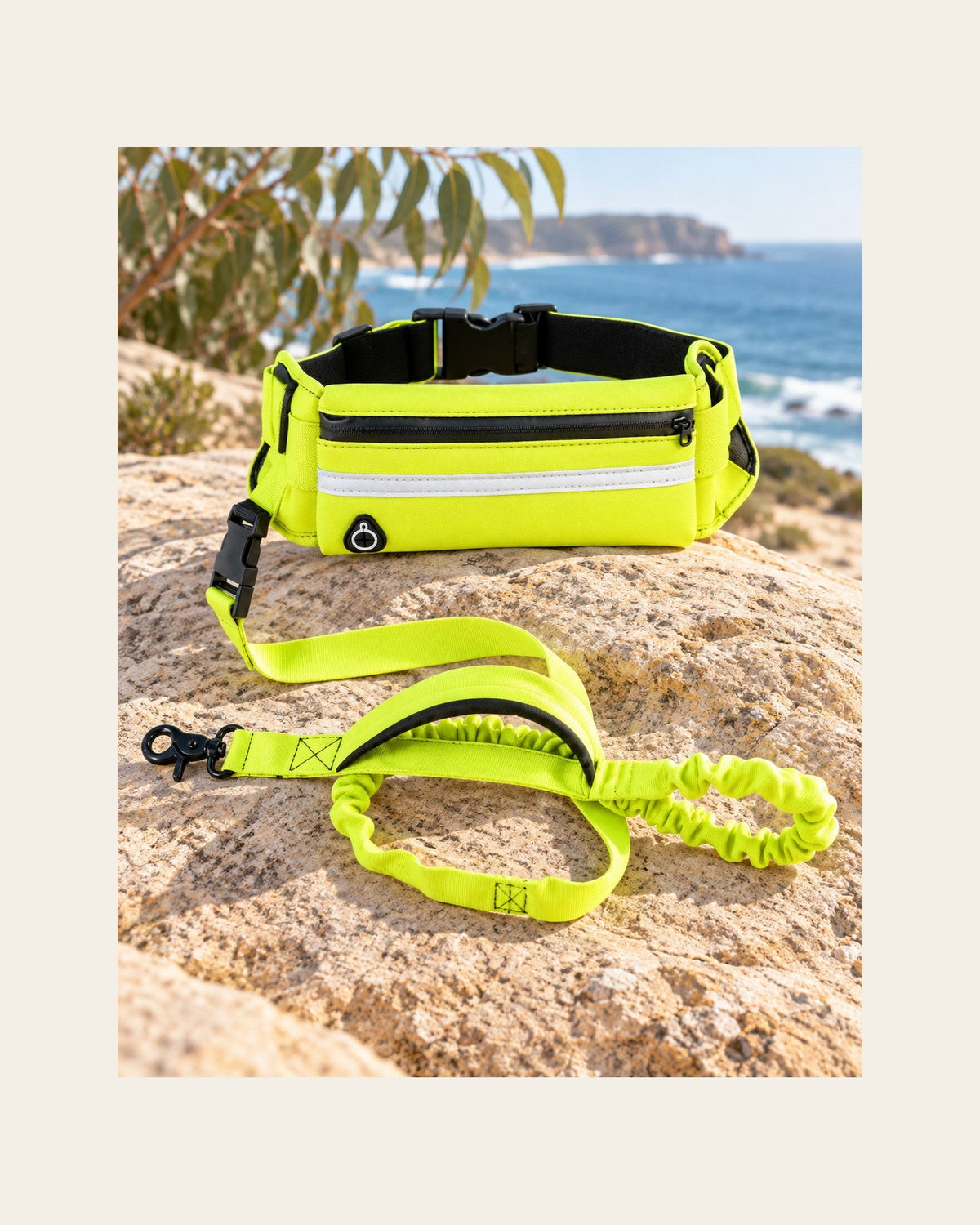 Field Runner — Hands-Free Dog Leash — field runner variant hi vis yellow