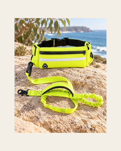 Field Runner — Hands-Free Dog Leash — field runner variant hi vis yellow