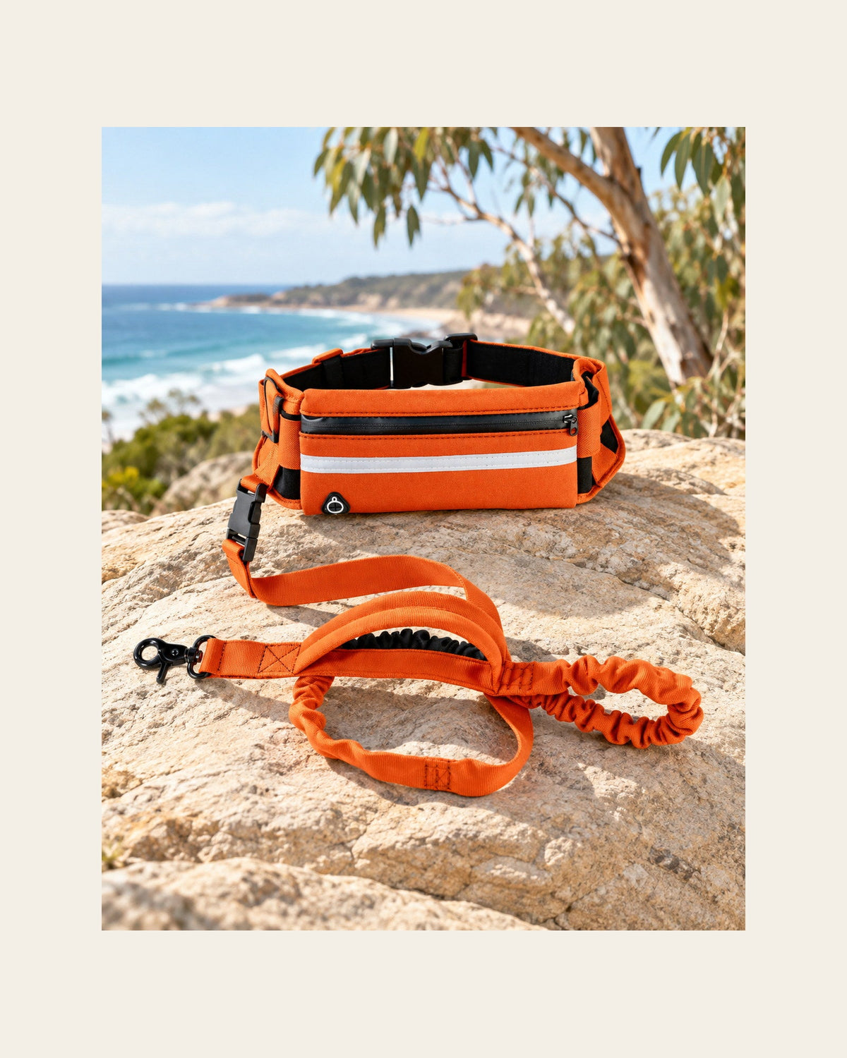 Field Runner — Hands-Free Dog Leash — field runner variant orange