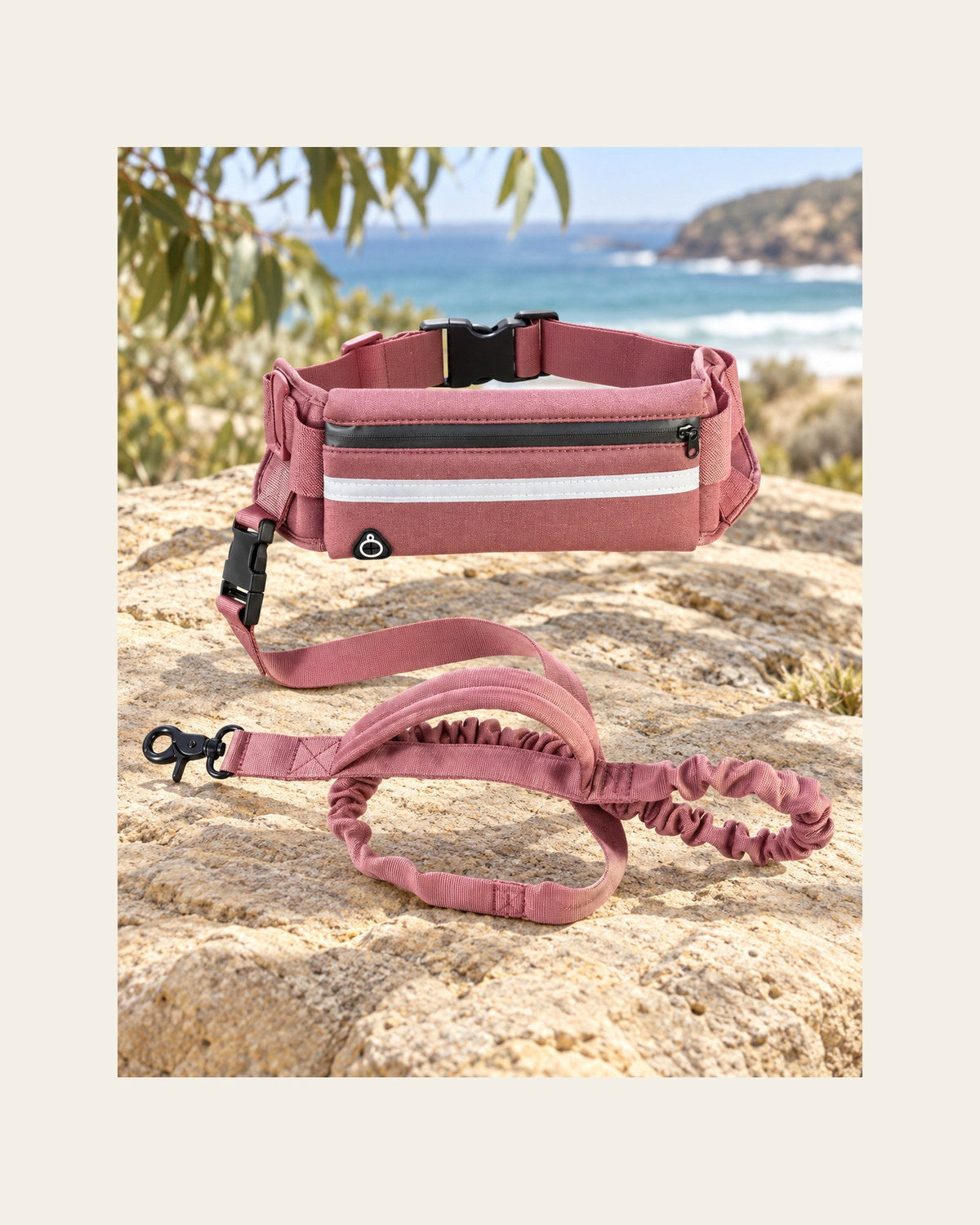 Field Runner — Hands-Free Dog Leash — field runner variant rose