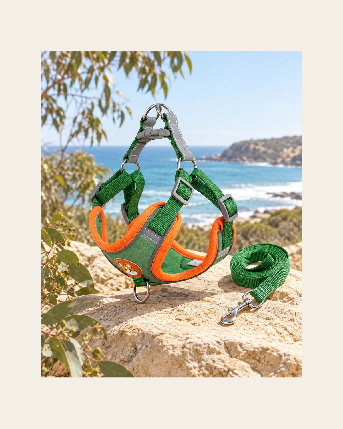 Everyday Harness Set — Reflective Harness & Lead — everyday harness set variant green