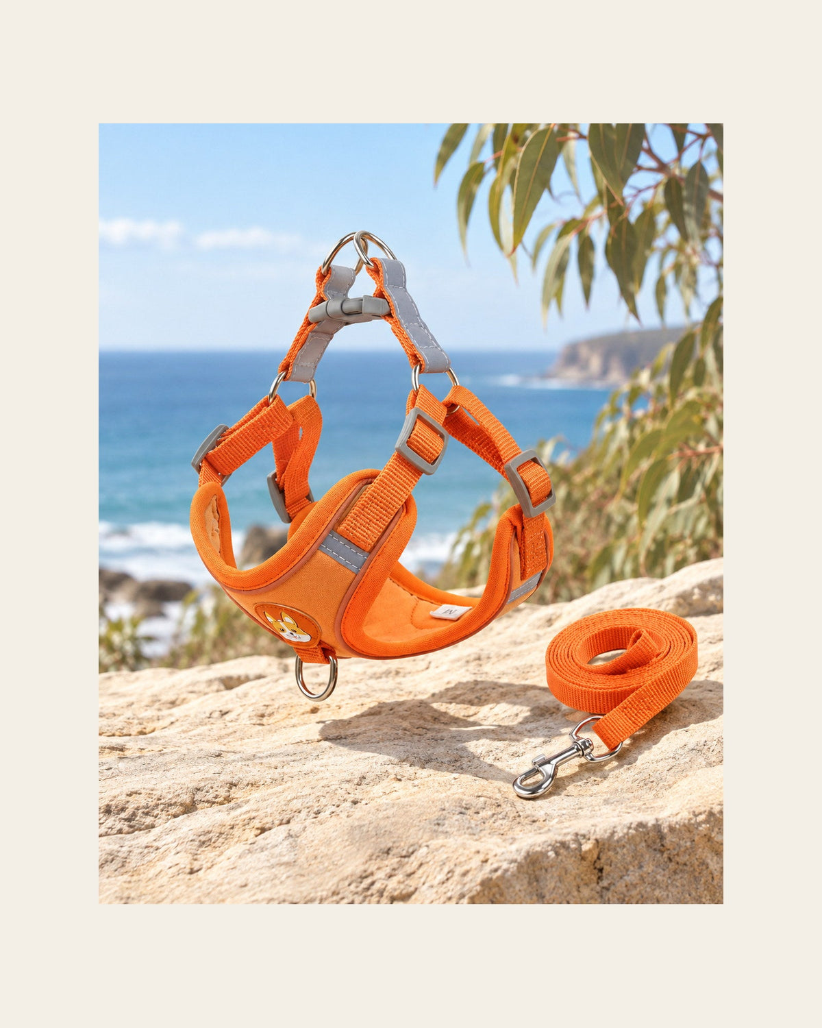 Everyday Harness Set — Reflective Harness & Lead — everyday harness set variant orange