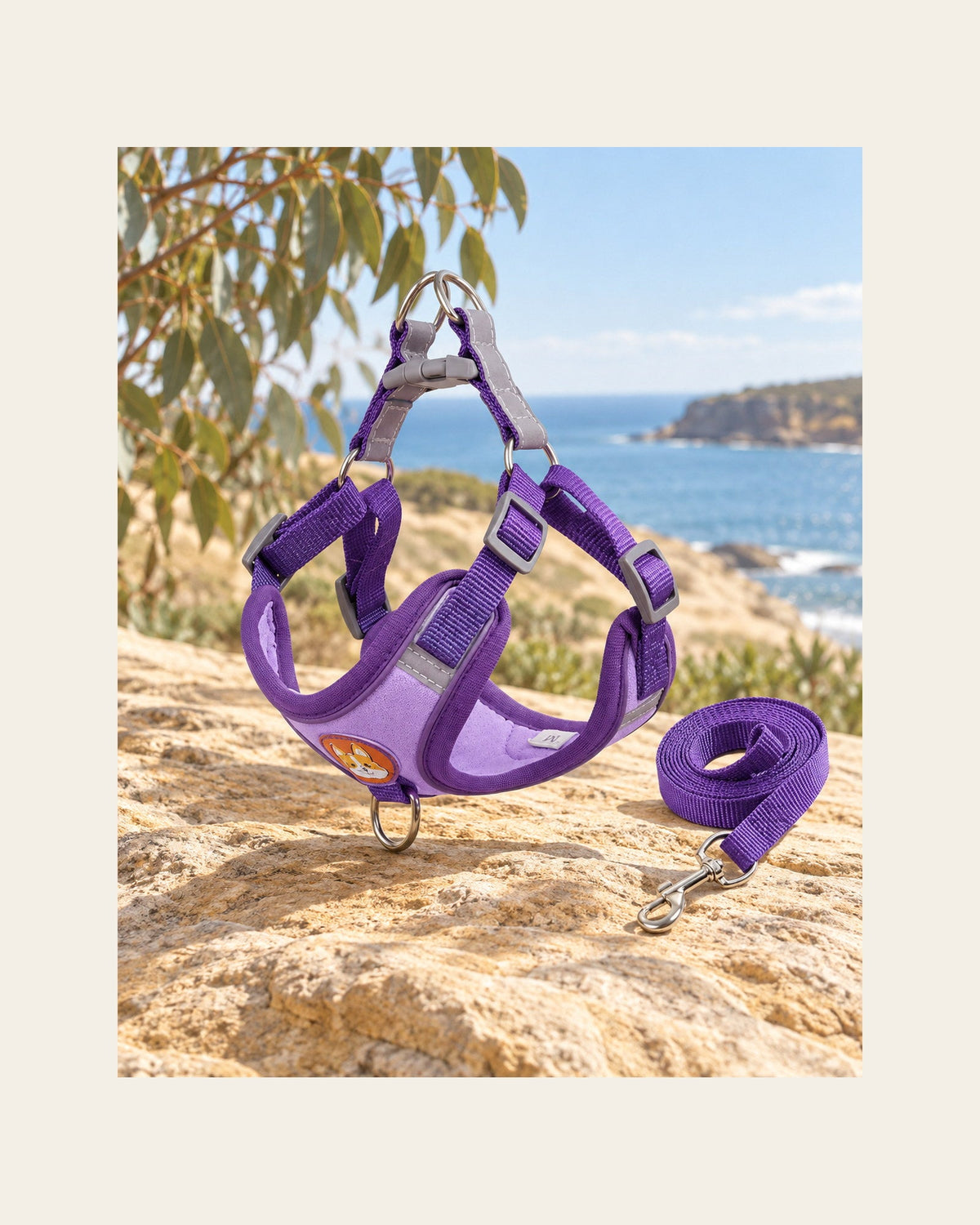 Everyday Harness Set — Reflective Harness & Lead — everyday harness set variant purple