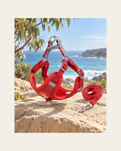 Everyday Harness Set — Reflective Harness & Lead — everyday harness set variant red