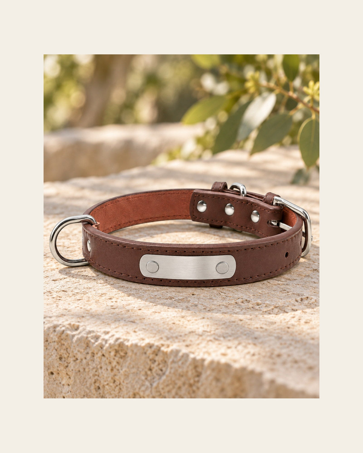 Sutton Collar — Personalised Dog Collar — sutton collar detail