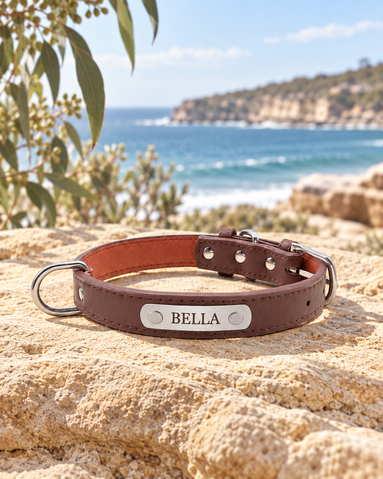 The Sutton Collar — Personalised Dog Collar — full frame product image