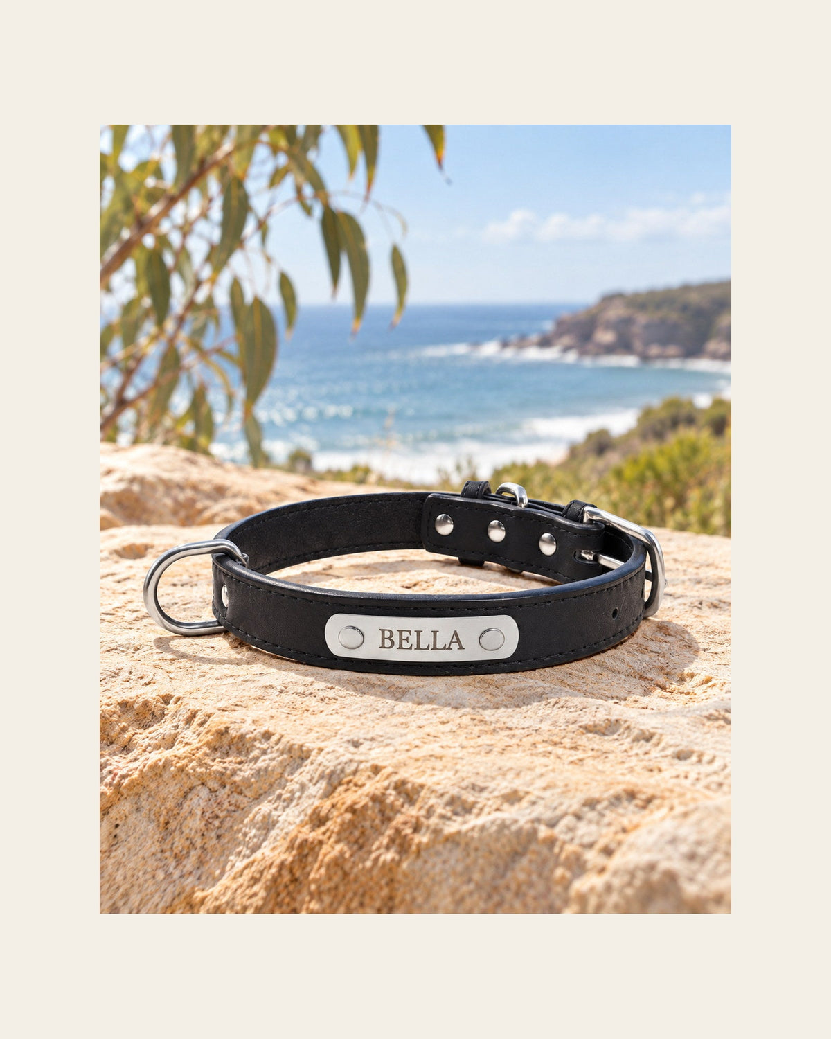 Sutton Collar — Personalised Dog Collar — sutton collar variant black