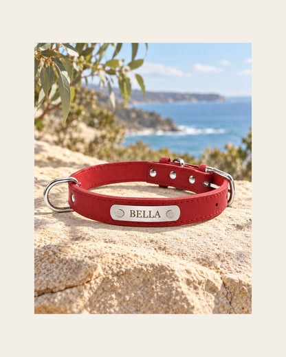 Sutton Collar — Personalised Dog Collar — sutton collar variant red