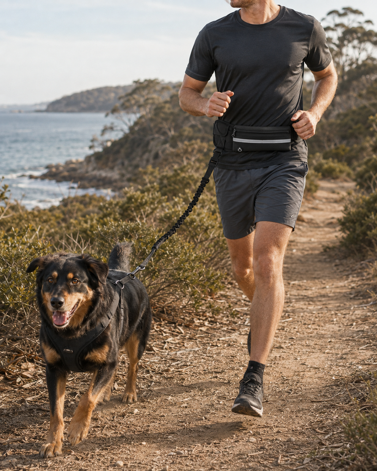 Field Runner hands-free leash correctly connected to a dog harness on an Australian coastal trail