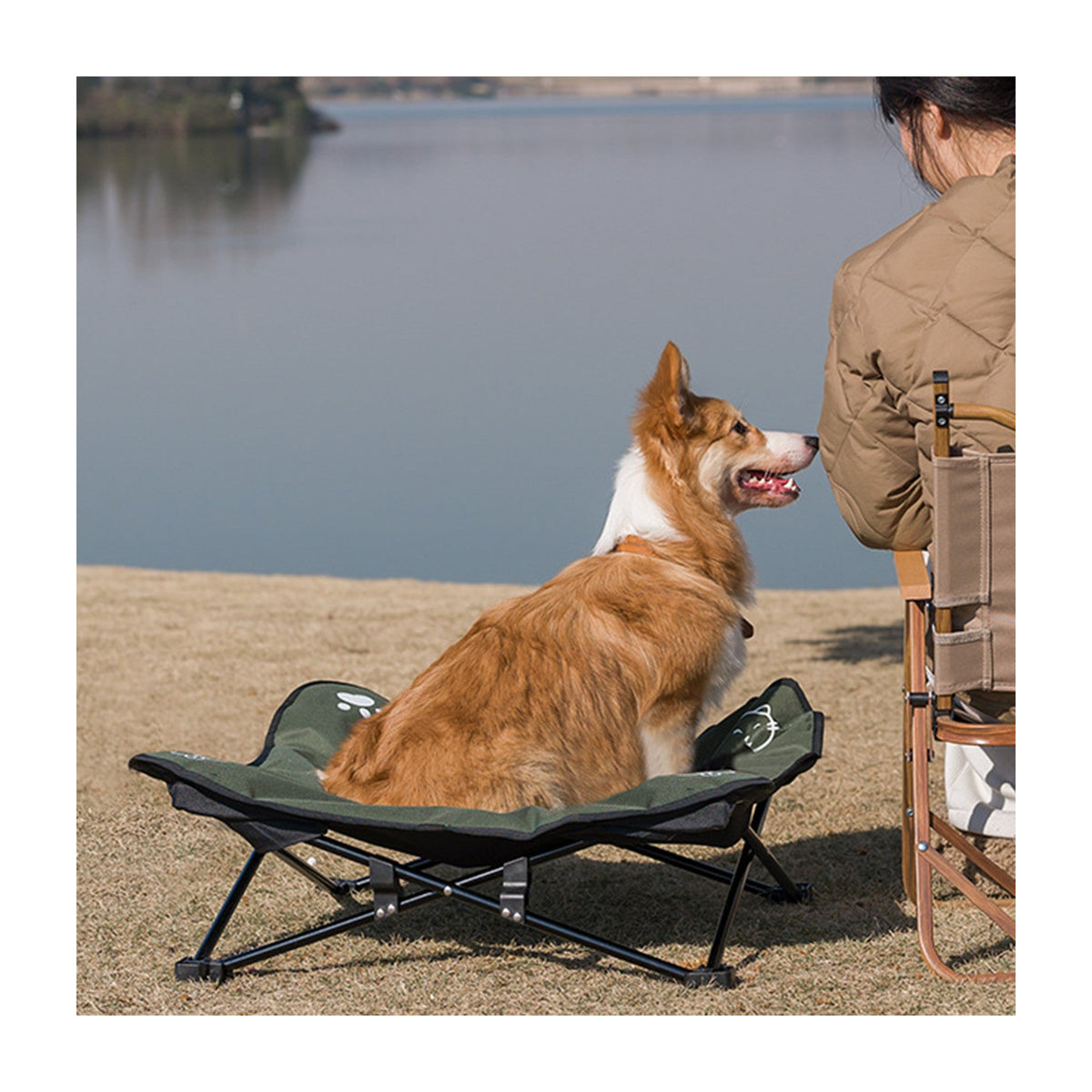 The Camp Bed raised folding dog cot in olive, with its carry bag