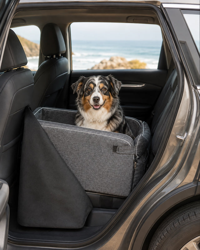 Australian shepherd sitting in the grey Backseat Guard in an SUV
