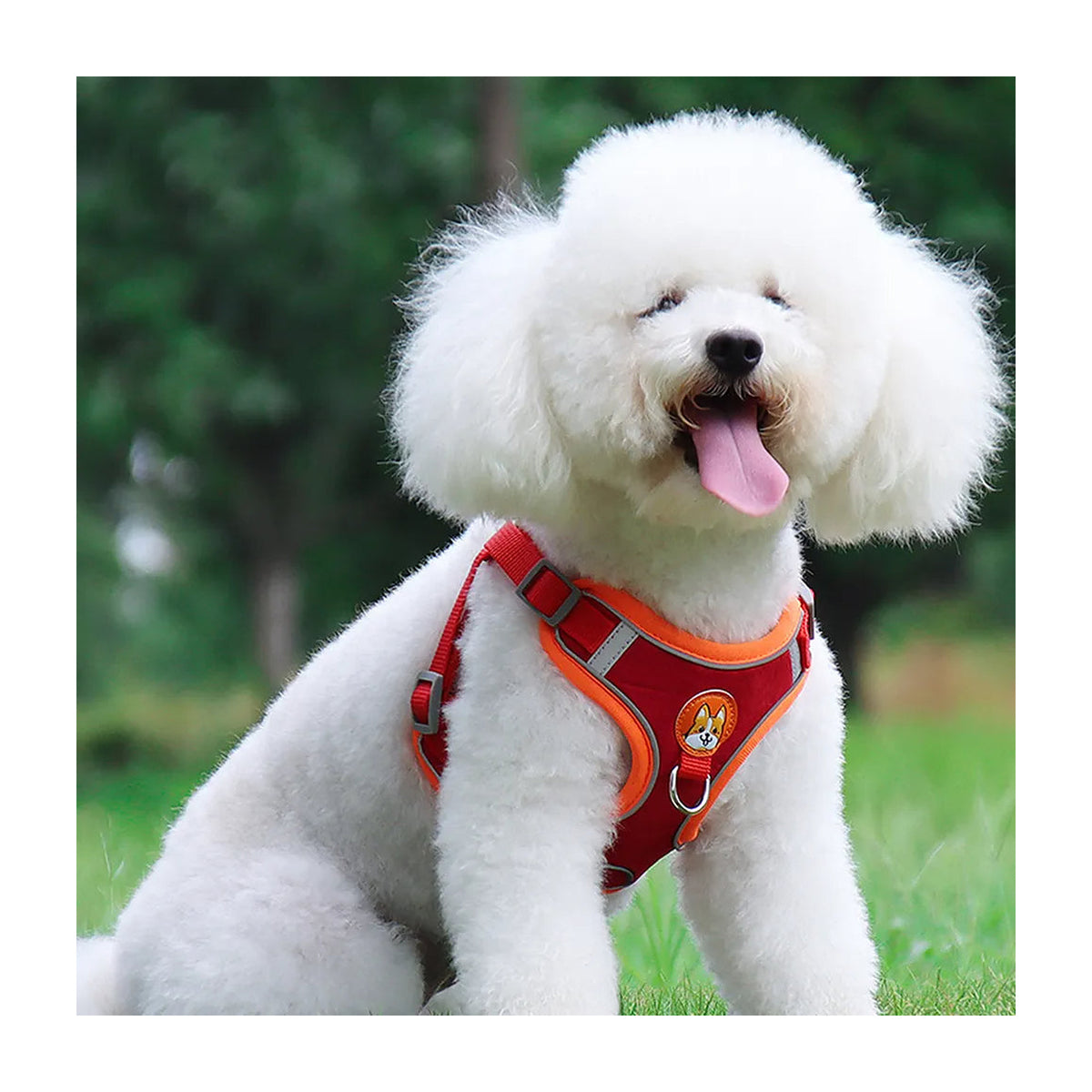 The Everyday Harness Set reflective dog harness with matching lead