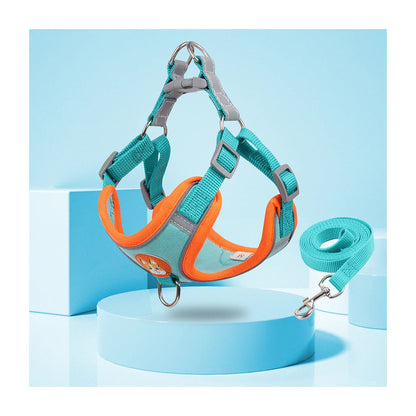 The Everyday Harness Set shown on a soft blue background