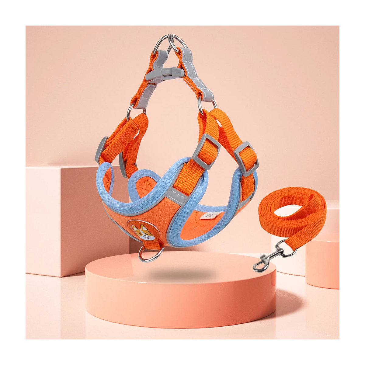 The Everyday Harness Set in an orange and blue colourway