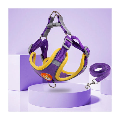 The Everyday Harness Set in a purple and yellow colourway