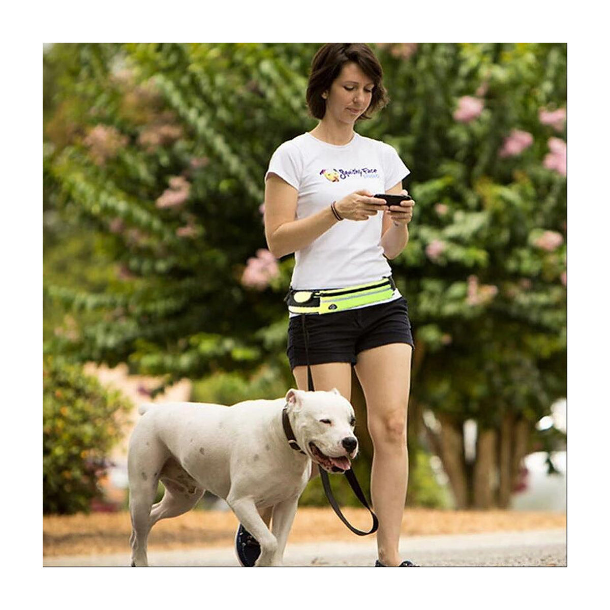 The Field Runner waist belt and bungee leash laid flat