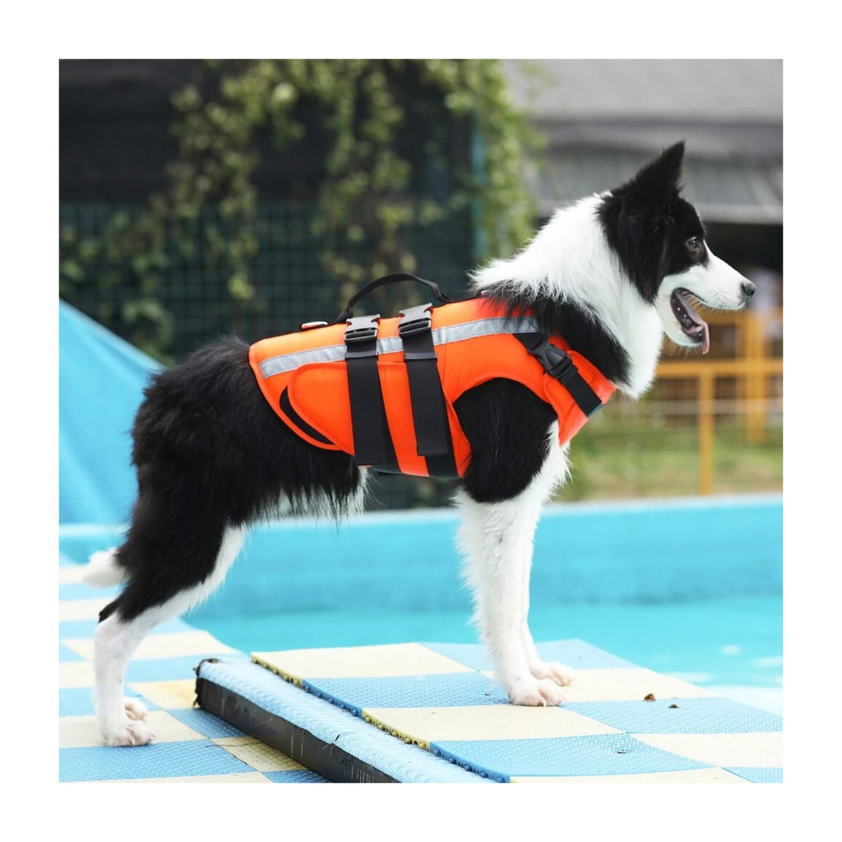The Harbour Vest reflective dog life jacket in orange, shown from the side