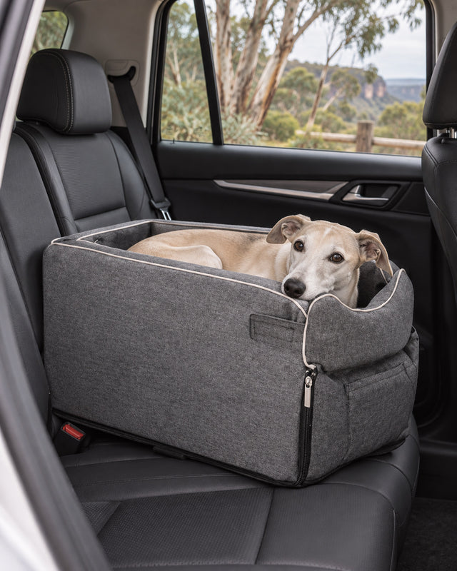 Cream whippet resting in the grey Sutton Hide Road Nest in an SUV