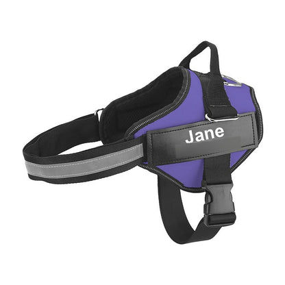 The Nameplate Harness in purple, with the engraved nameplate on the chest panel