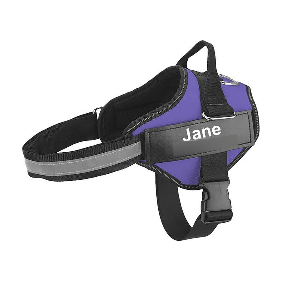 The Nameplate Harness in purple, with the engraved nameplate on the chest panel
