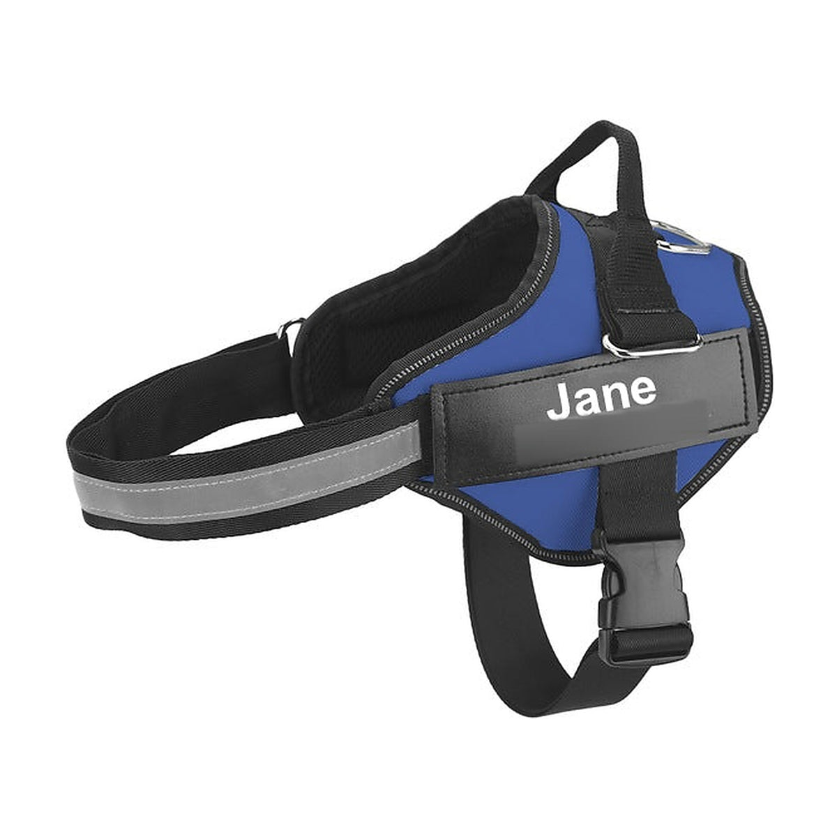 The Nameplate Harness in royal blue, with the engraved nameplate on the chest panel