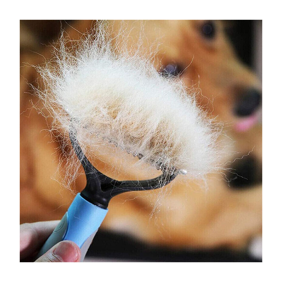 Close-up of the Undercoat Rake lifting loose undercoat from a dog's fur
