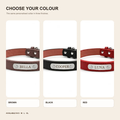 Sutton Collar colour options in Brown, Black and Red