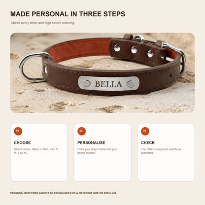 How to personalise the Sutton Collar with colour, size, dog name and phone number